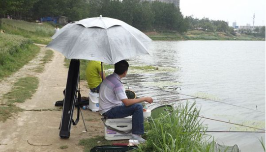 |渔乐杂谈:夏季钓鱼如何做到随机应变?