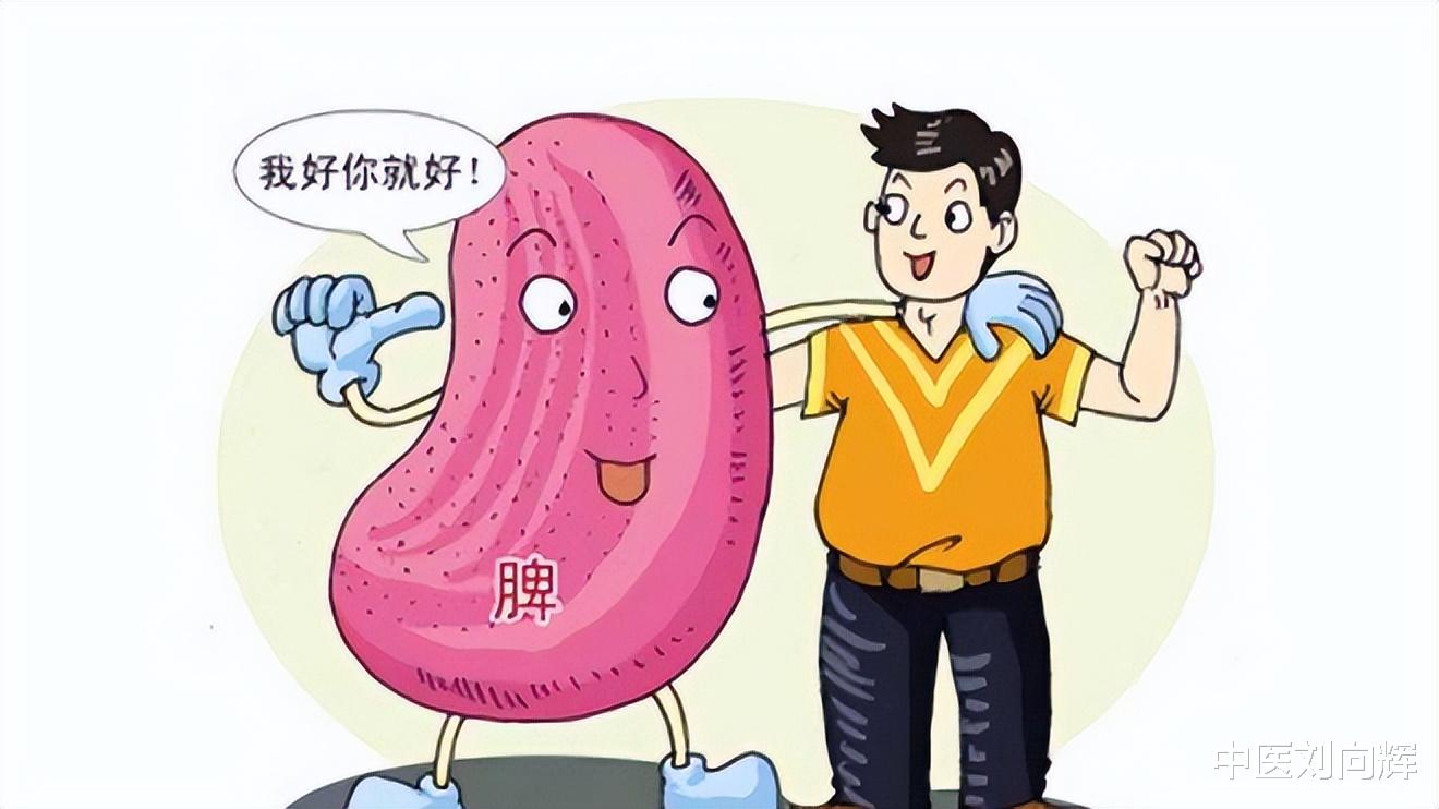 医生|脾虚百病生，脾健病无踪，一味简单的中药，健脾养胃，利水燥湿