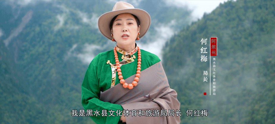 桐庐|“文旅局长说文旅” | 卷出了风采引来了客