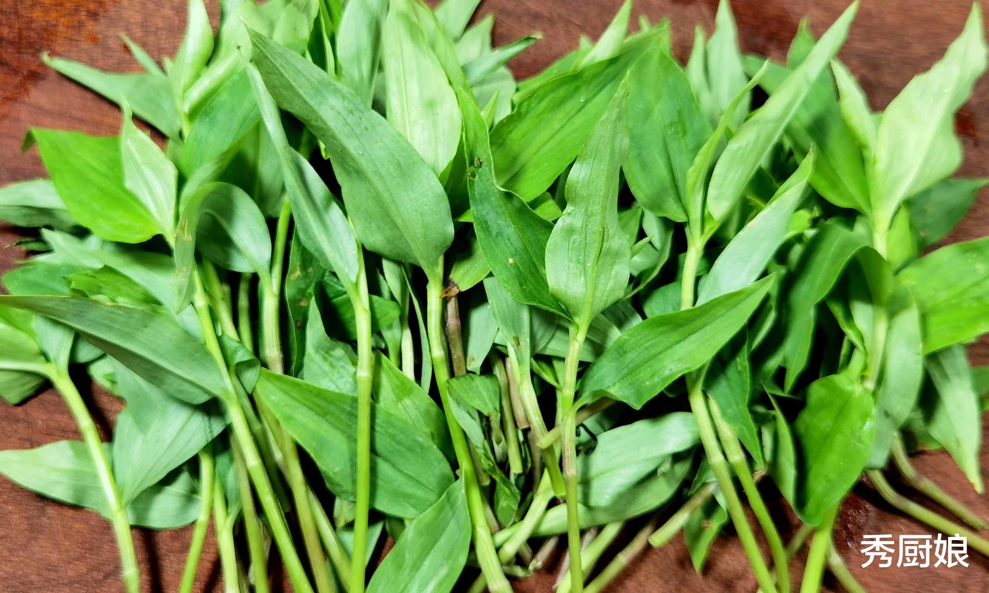 野菜|曾是农田里的"害草",如今成"极品野菜",现在正当季,别不懂吃!