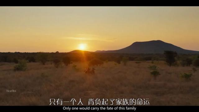 卡拉|9.5分,这神剧实在太上头