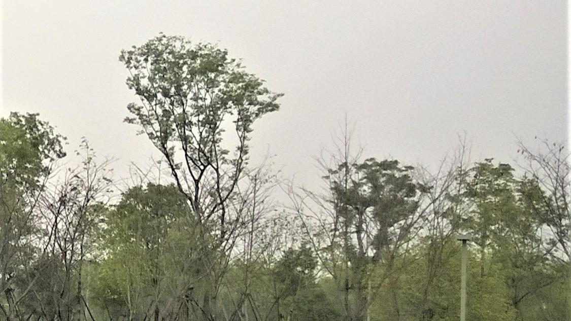 不孕不育|职场难相处？能处则处