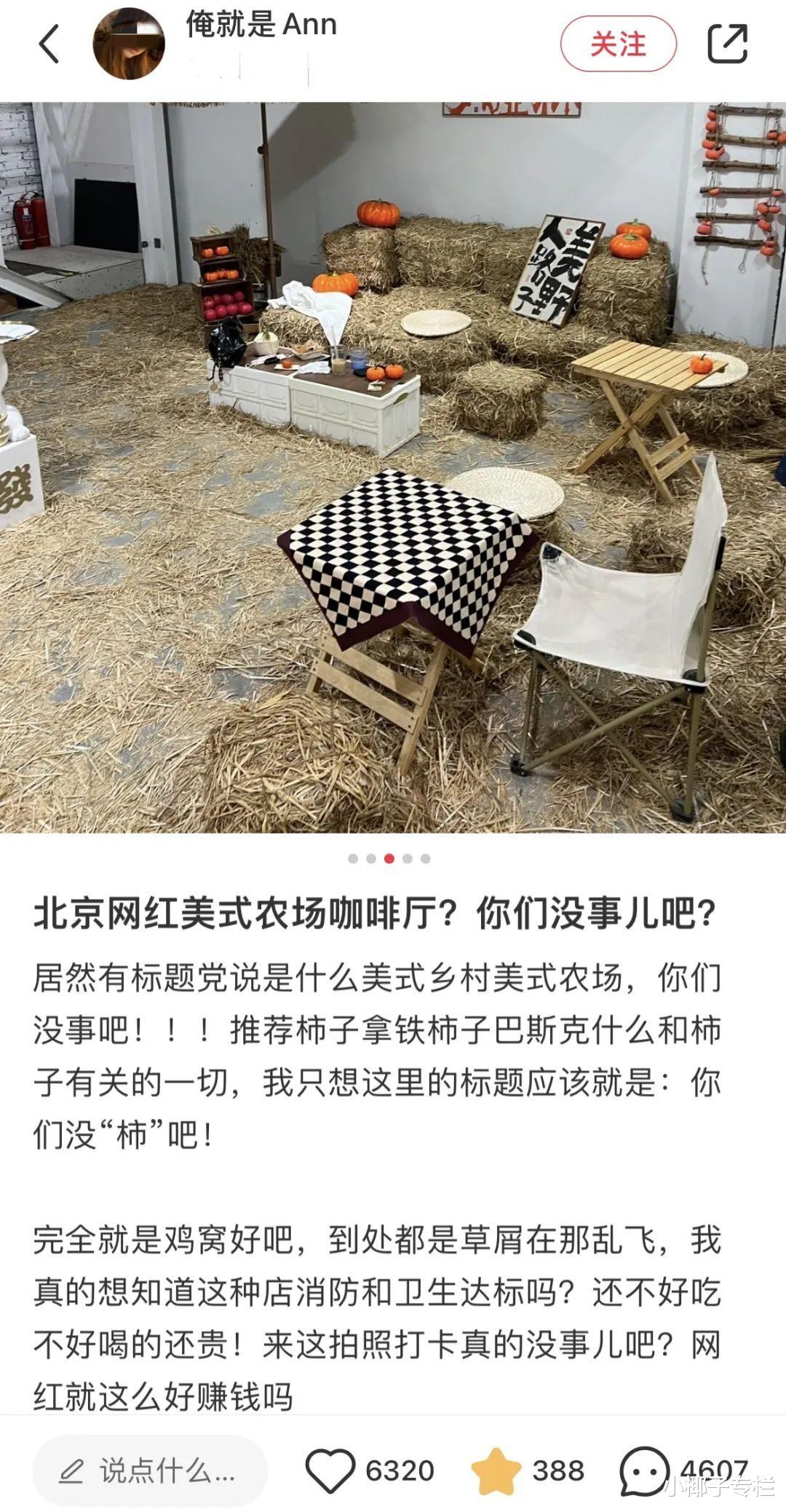 又一被“北京中产”吹捧的网红翻车,戳穿了对年轻人最残忍的骗局
