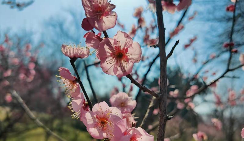 招聘|为什么人越长大越孤单？