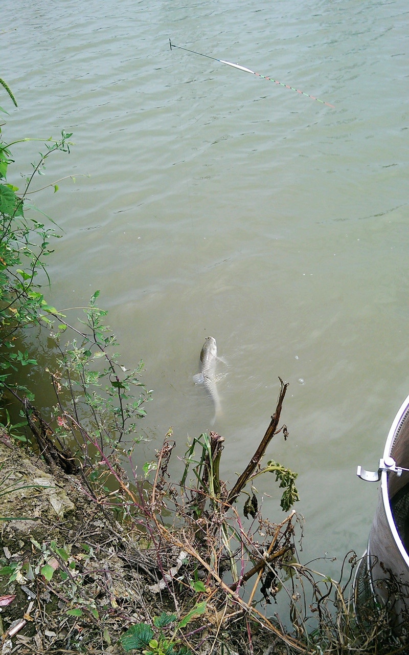 |想了解一个人钓龄时间多长，看他出门钓鱼的时间就知道