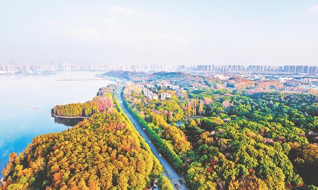 韶山|依山傍水 南湖大道景如画