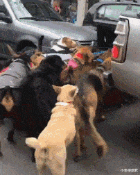 “新房子有这么个角落，该怎么装修？”网友：这是庙吧？哈哈哈