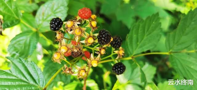 日照|骑行在秦始皇走过的这条路上,景色虽美,但是有一个遗憾