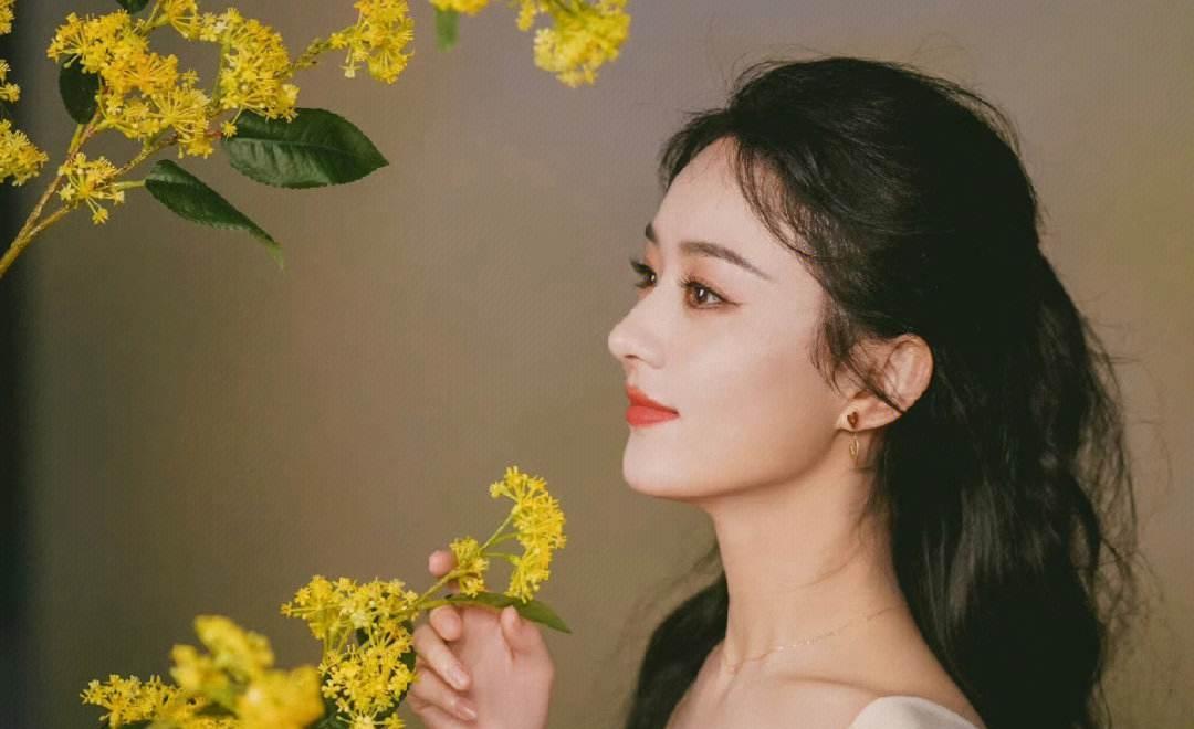 满江红|从狂飙到《满江红》,娱乐圈进入继承者时代,难怪演员不会演穷人