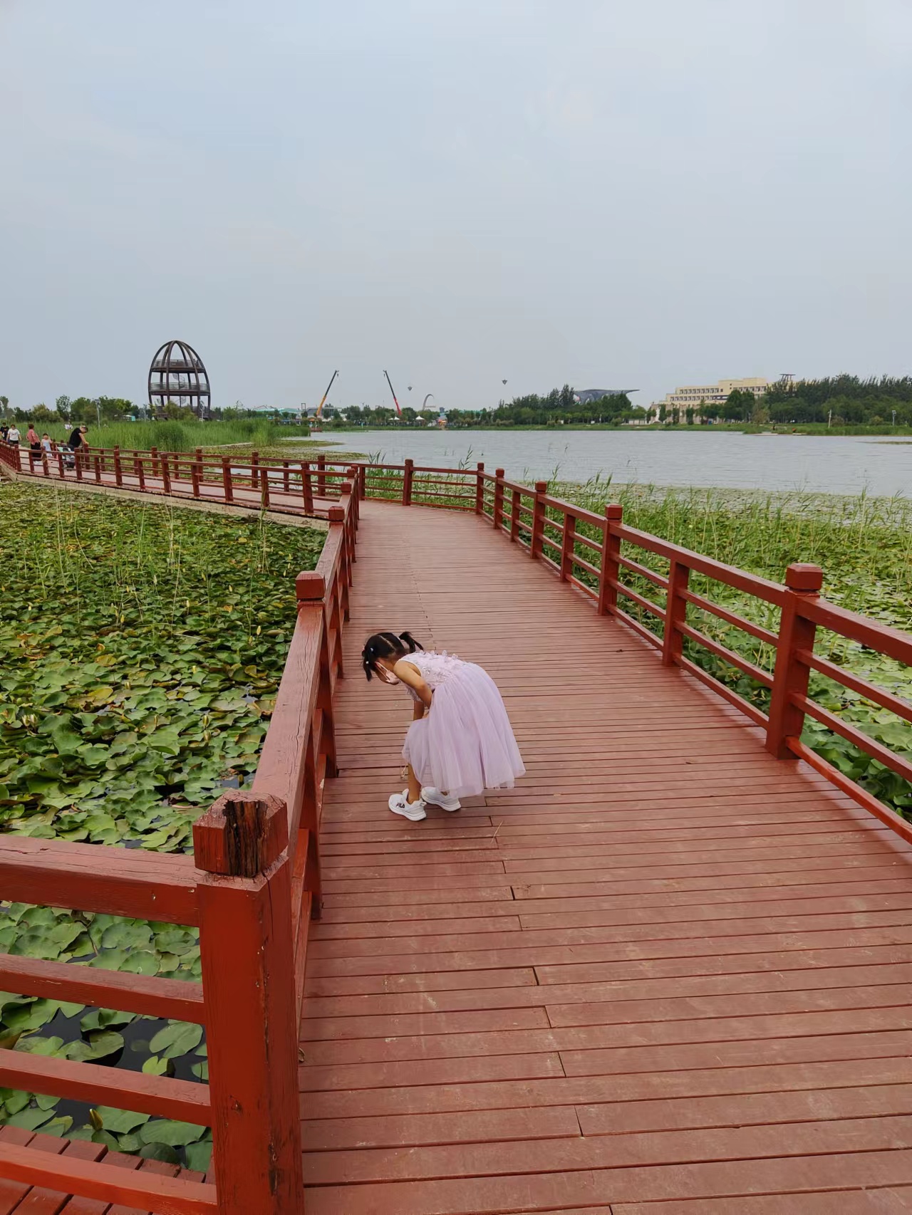 黄浦|什么时候才可以带娃去远方呀？