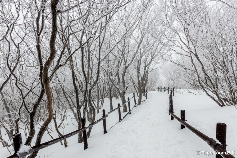 雪景怎么拍，6个使用技巧助你拍出好看的雪景照片