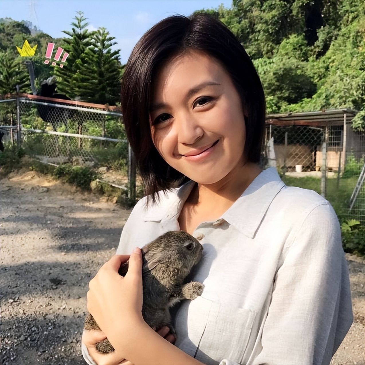 陈少霞|红得快、凉得也快，这五位“风光不再”的女星真是太可惜了