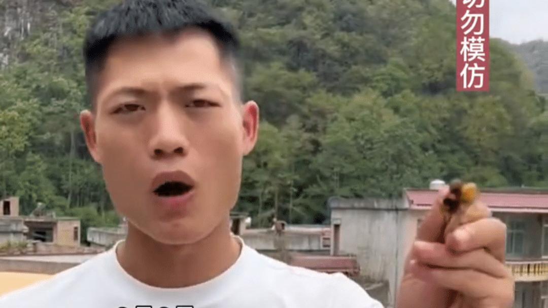 生吃活蜜蜂！贵州一男子为博眼球吃蜜蜂后进医院治疗！