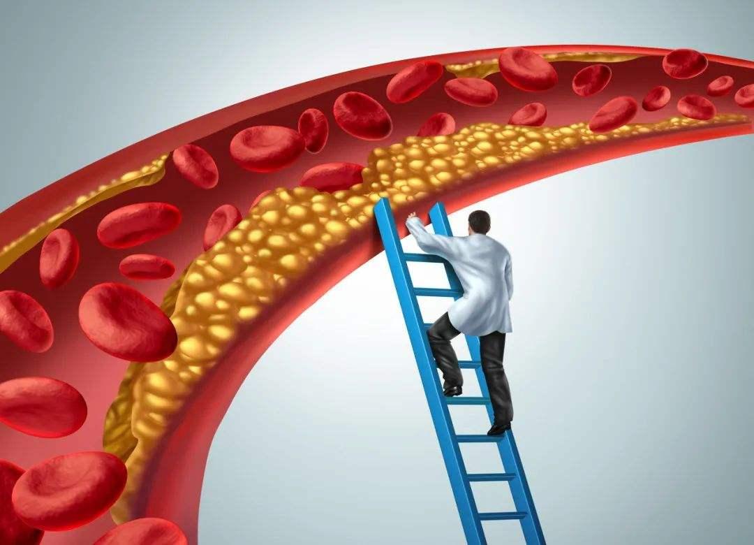 豆腐|请停止食用这4种鱼,可能含有甲醛和重金属,尤其要转告父母