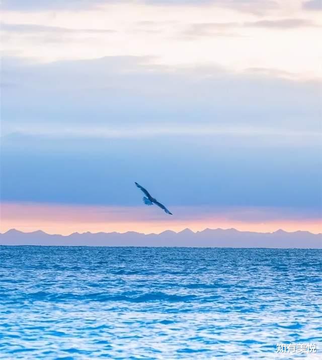 旅行|七月最佳旅行地清单上线！这个夏天，一起来这9个旅行地避暑吧！