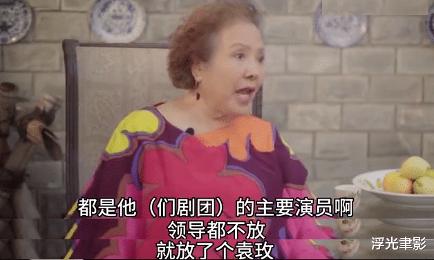 袁玫|袁玫多次换角终于成就最“守分”袭人，王扶林：她身上有大姐姐的风范