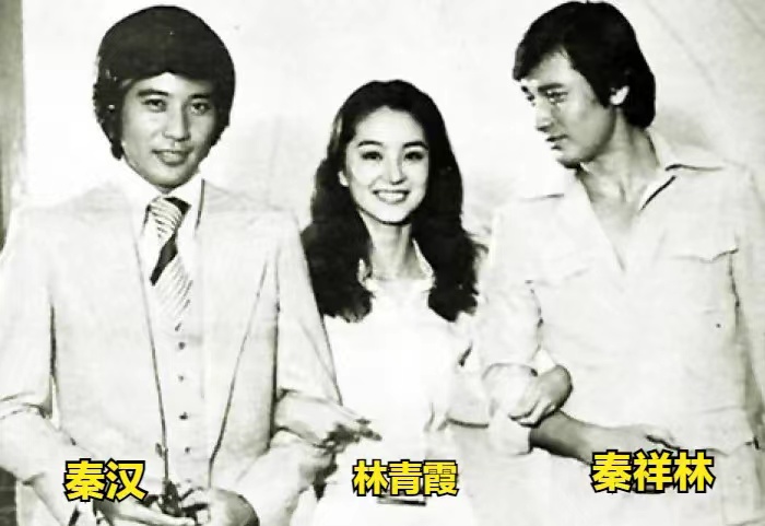 王祖贤|娱乐圈5位最强三白眼女星,王祖贤再也不化妆,胡因梦变化最大