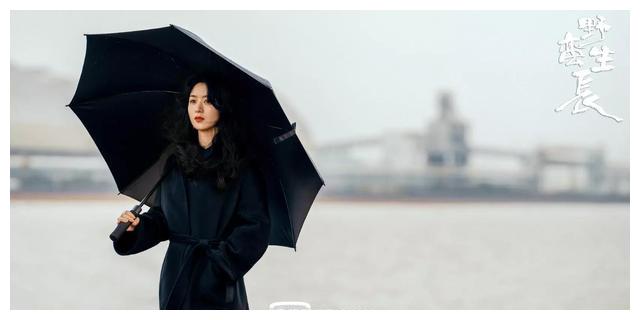 赵丽颖|赵丽颖再出“王牌”,大女主创业剧被央视点名预热,引人期待