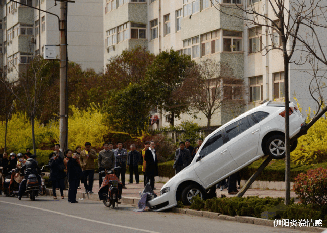 盘点9个离谱的奇葩事故,看得我一脸懵,怎么开的车?