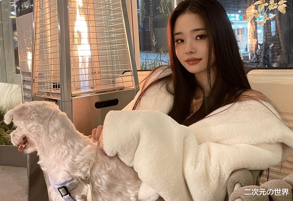 张元英|宋智雅塌房让半藏森林再次翻红,媚男网红都没有好下场?