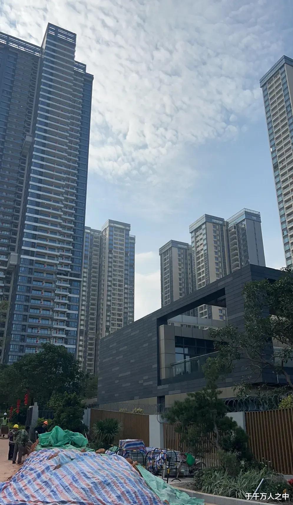 家产|香港豪门霍家争家产风波再起。原因就是广州南沙一块3.3万亩的地块51%的股权？