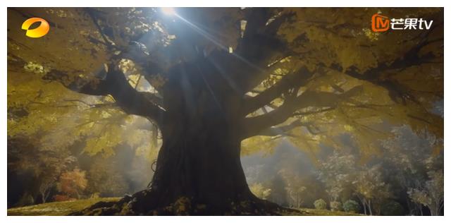 田震|湖南卫视王炸节目回归！田震复出动情落泪，8位实力唱将演绎金曲