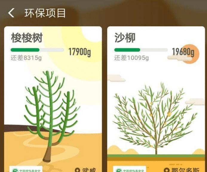 零钱通|马云“天价”造的蚂蚁森林3年了，卫星拍摄的照片，看到现场：泪目