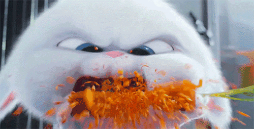 祛斑 从120到58,行走的“骷髅妹”为爱瘦身:那些被减肥毁掉的女孩们。