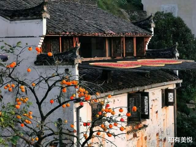 乌镇|国内10个精致的旅行地,真正的世外桃源,每一个都美得那么低调!