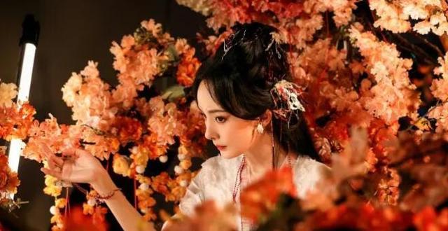 杨幂|杨幂携手龚俊出演古装剧,一袭纱裙美若天仙,尽显古典美人气质