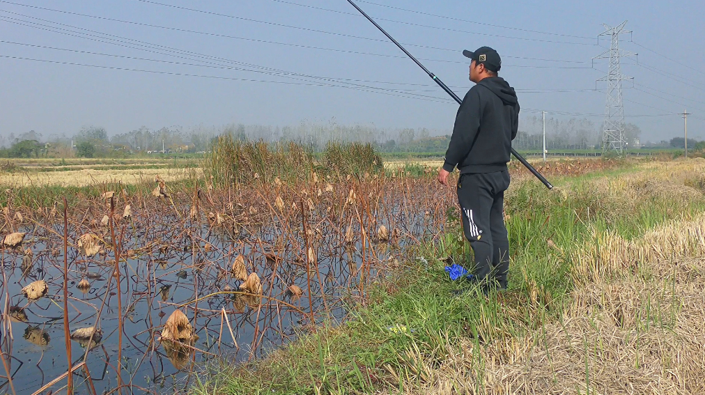 |春钓鲫鱼切勿到了水边就开钓，掌握4条“法则”，任何水面都爆护
