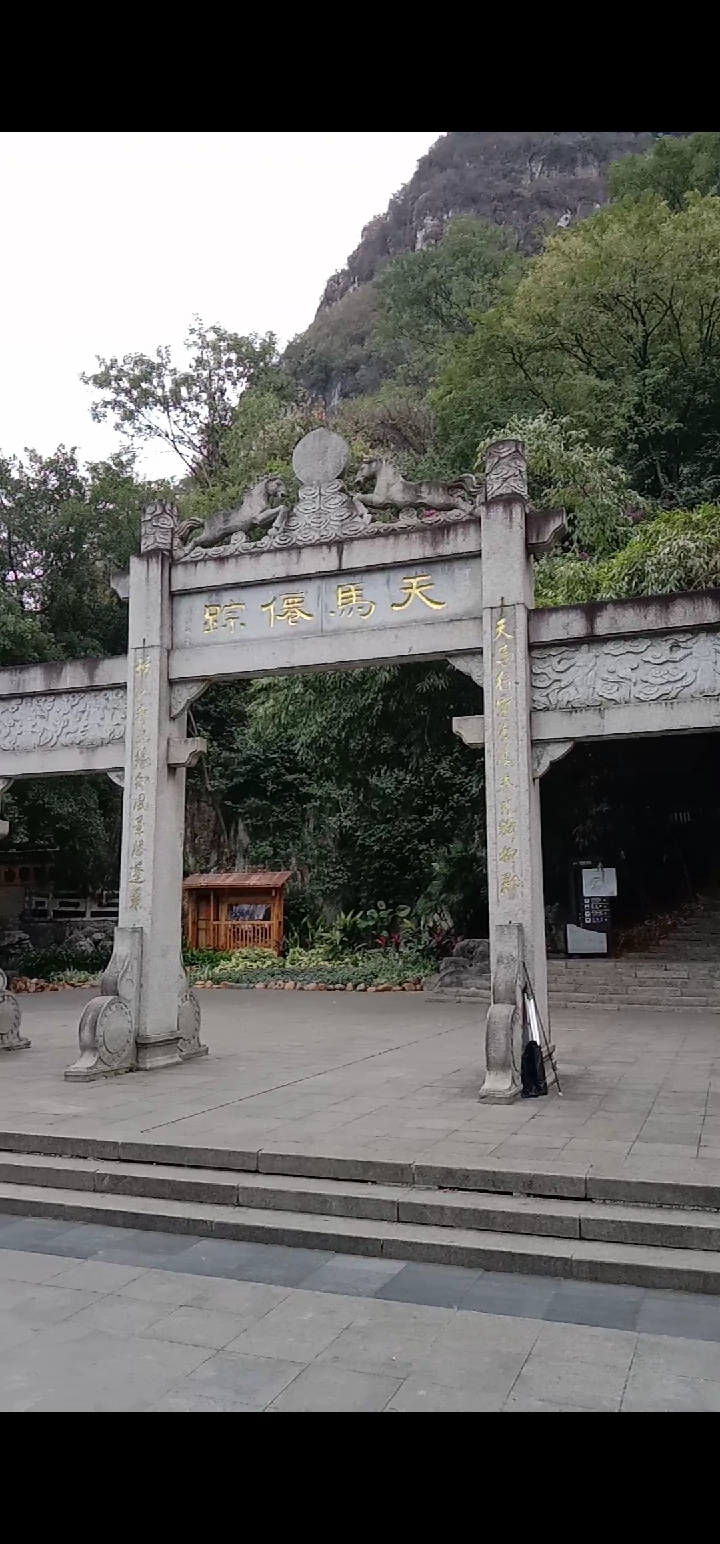 格桑花|天马腾空景色怡人！