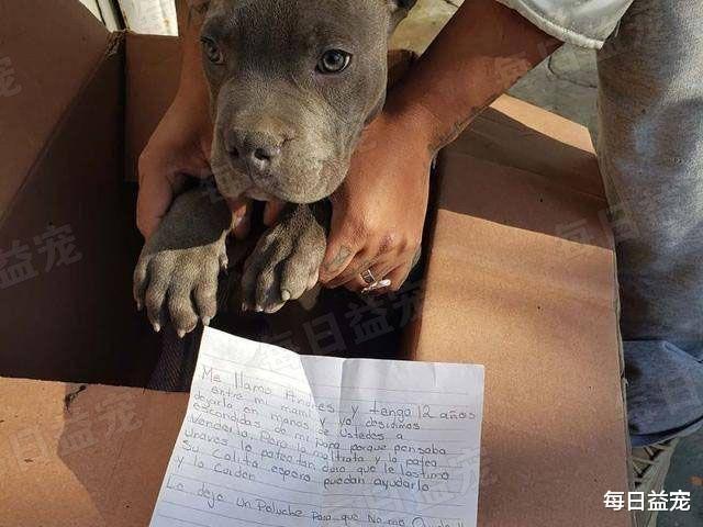 小男孩亲手将爱犬遗弃，还留下了一封信：别告诉我的父亲！
