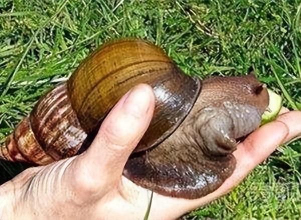 |大妈求垂钓小伙放生被拒后报警，警察却帮小伙说话，大妈有点尴尬