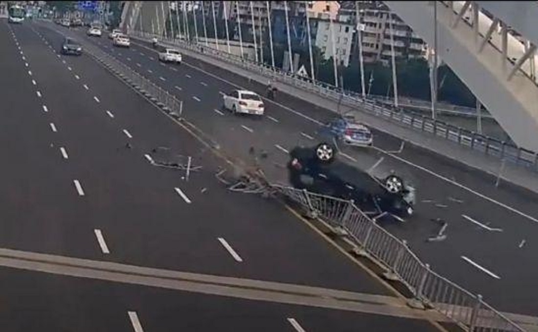 高速突然蹿出一条狗,汽车是躲还是撞?交警:科目一上就有答案