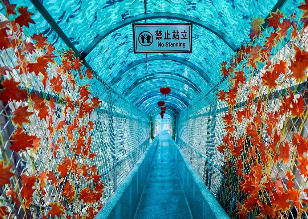 长沙|国庆去哪儿玩 | 沐温泉、赏桂子、逛瑶寨，您有一份国庆攻略待查收