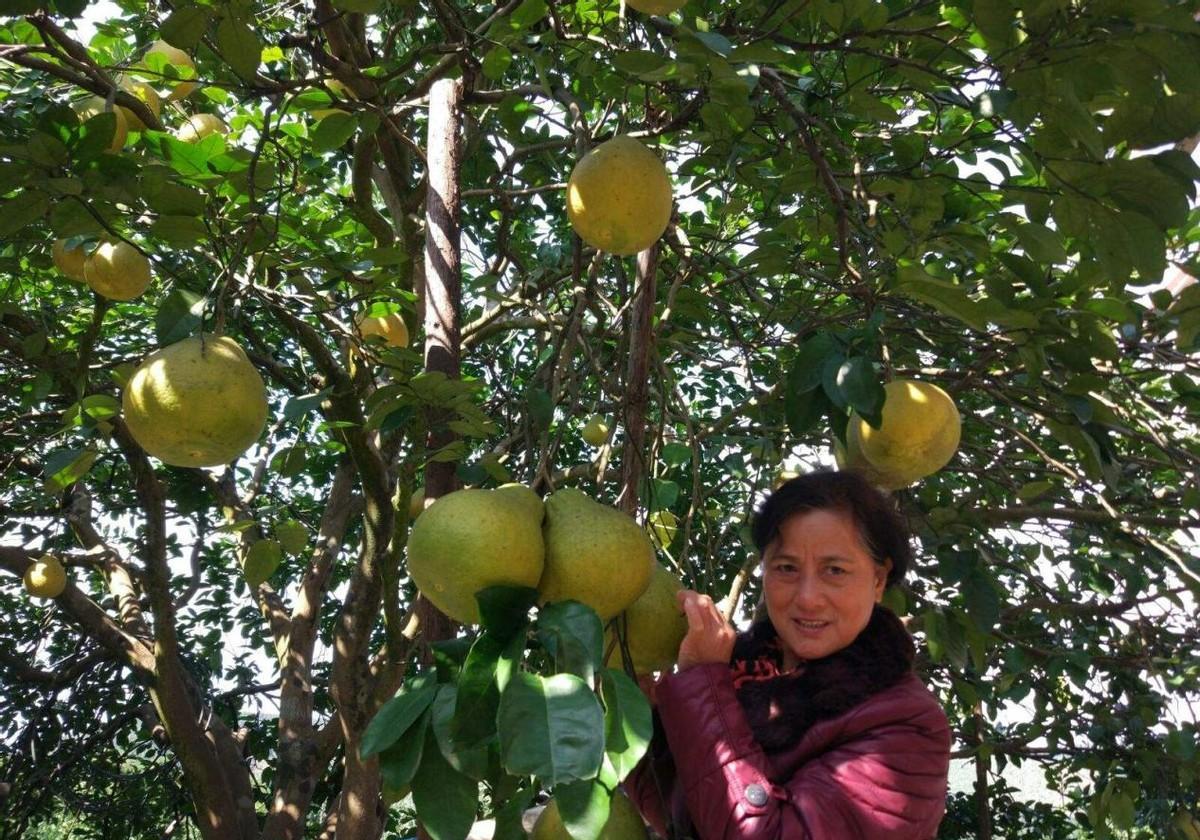 古镇|中国“漂”在水上的古城,400年不通车,驱散疲惫的绝佳选择!