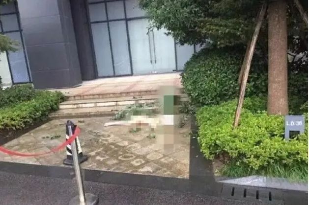 杨旭文|杨旭文再次登上热搜，牵扯出任娇坠楼事件，男方评论区遭沦陷