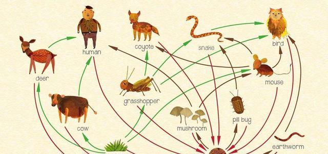 死法最憋屈的动物:能躲过天敌的追杀,最终却被自己杀死
