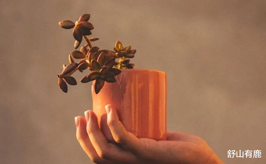 饵料|其实，一个人的后半生是否“命苦”，关键要看55岁那年的表现