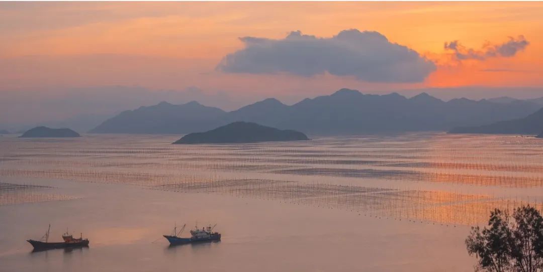|海岛风光媲美夏威夷,被誉为中国的斯里兰卡,文艺村庄如人间仙境