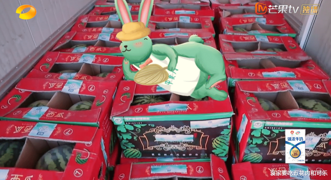 那英|那英隔老远大吼“对不起”  客人：不愧是练唱歌的