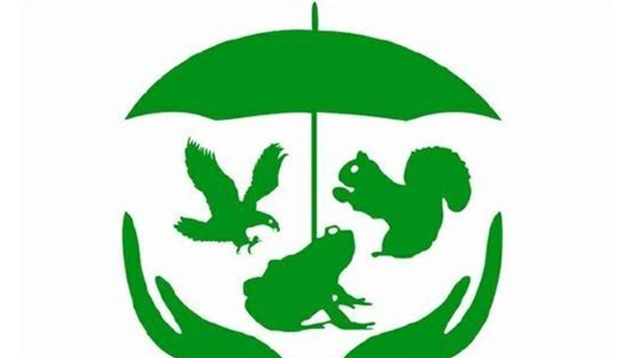 安徽渔民误捕“长江鱼王”,教科书式操作,不但没处罚还被表扬了
