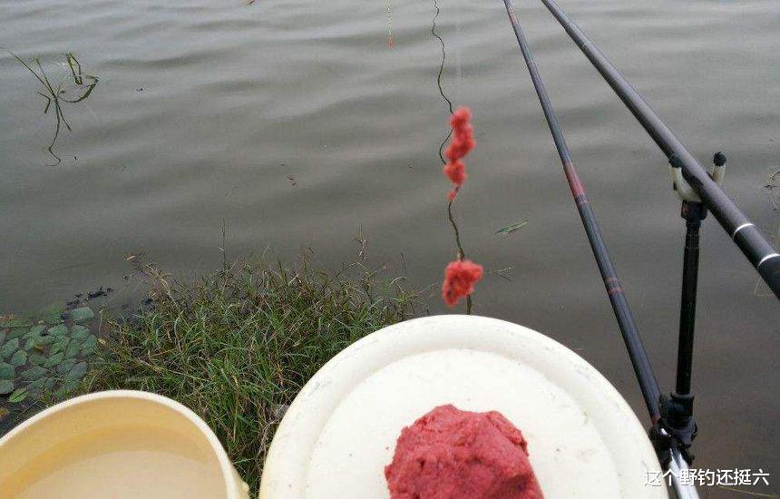 饵料|你拉饵钓鲫鱼为何总钓不多？两个极端不可取，要分场景讲时宜！