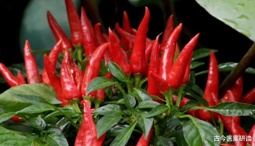 世界卫生组织|世卫组织曝光:停止食用“2白1红”或是结节帮凶,不想甲功受损尽早扔