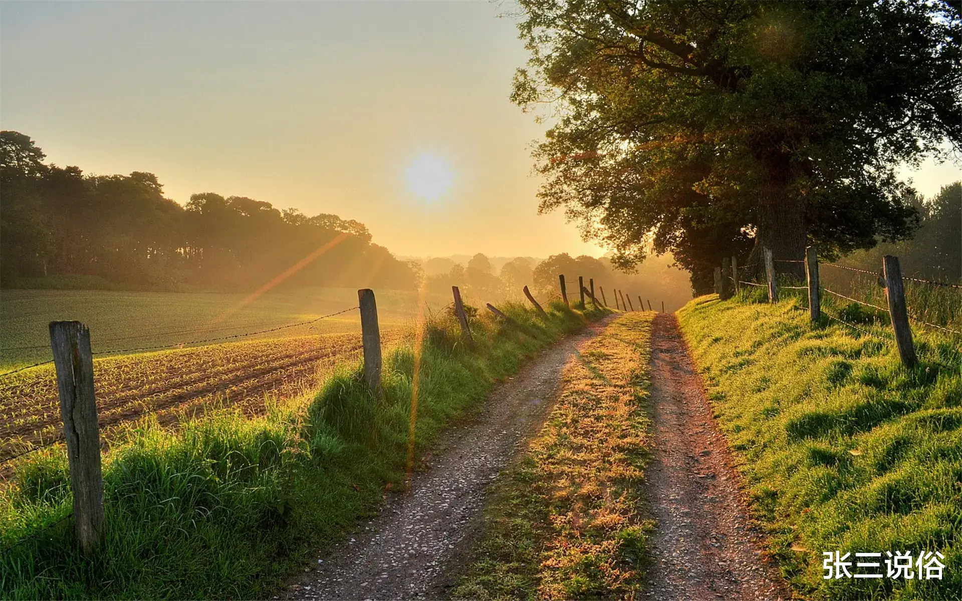 沙发|山管人丁水管财,家中摆设别乱来:家里三种东西放对,一切就顺了