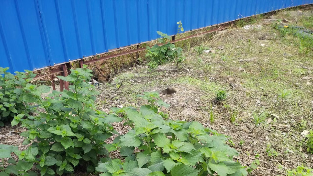 快乐|土旺埋金之人容易自我封闭