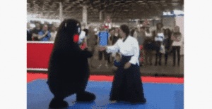 路由器|Wifi与宽带有什么区别？小白第一次必须知道！！！！