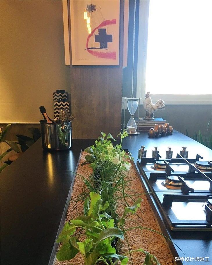 迟早有一天,我也能在厨房这7个地方种上蔬菜,自给自足超省事