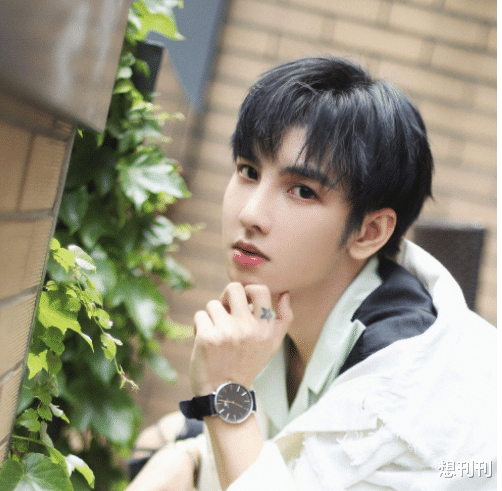 整容|出道了还去整容？换了张脸再出来，自封纯天然，他们当观众傻吗？